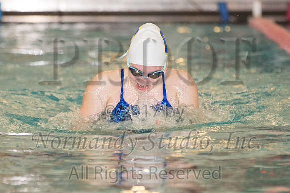 CHS_01_sw-g