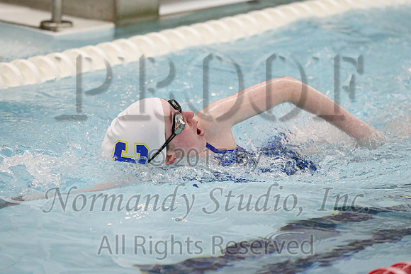 CHS_41_sw-g