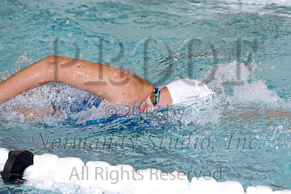 CHS_42_sw-g