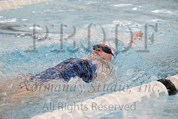 CHS_38_sw-g