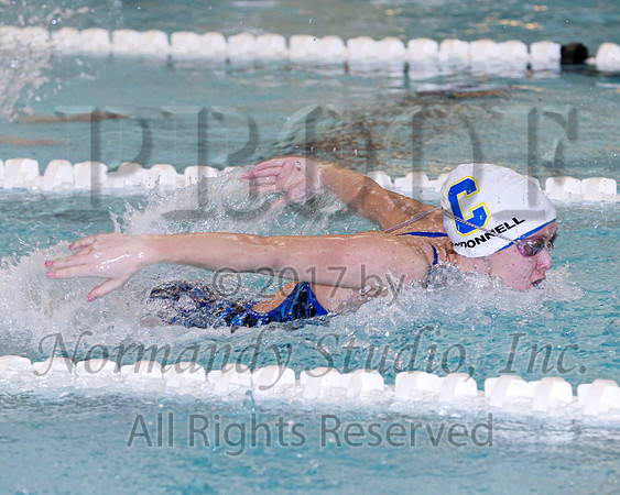 CHS_57_sw-g