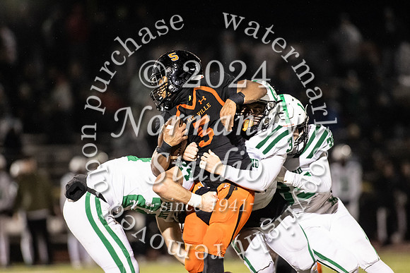 SVL_fb_16