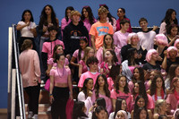 SVL_fans_14