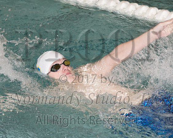 CHS_28_sw-b