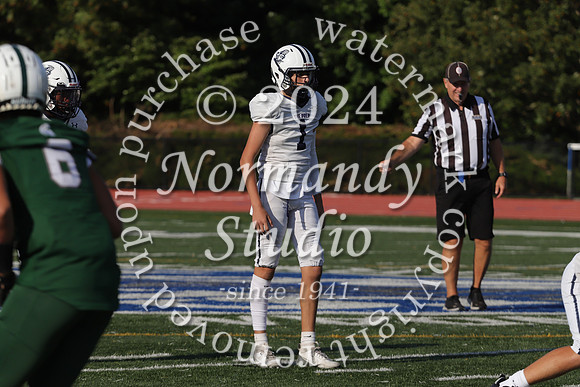 SHP_fb-f_31