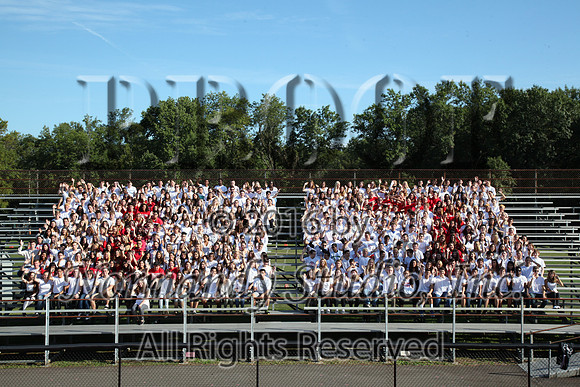 MNP_07_srg