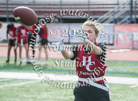 HCH_ff_45