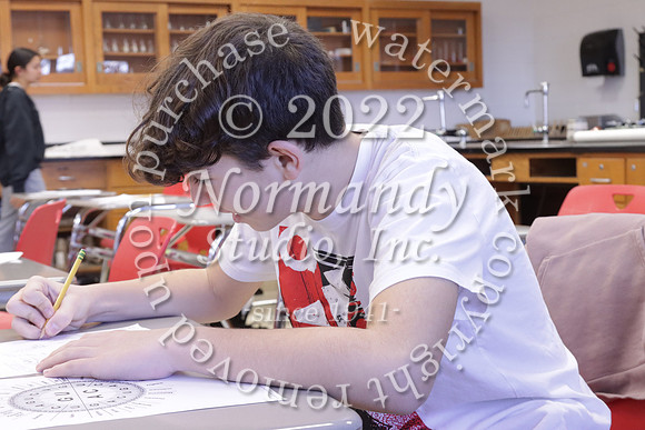 MNP_slc_20