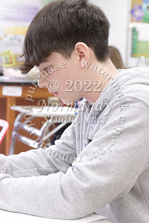 MNP_slc_115