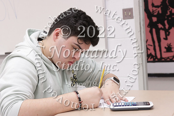 MNP_slc_195