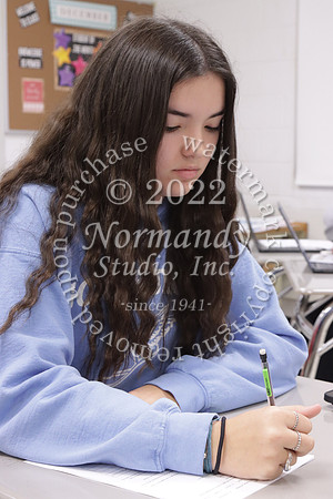 MNP_slc_55