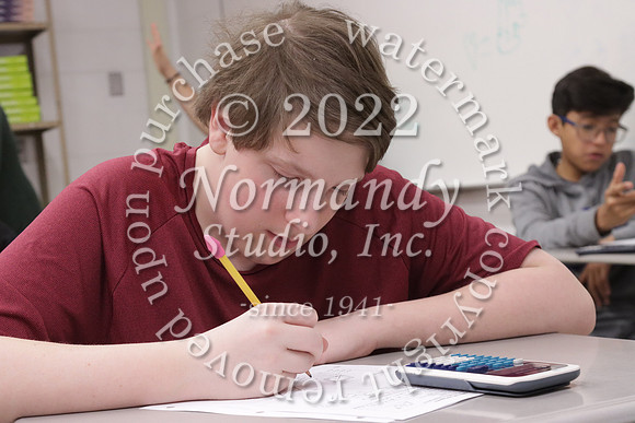 MNP_slc_196