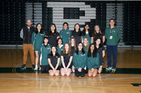 RDG_go-g-t_01