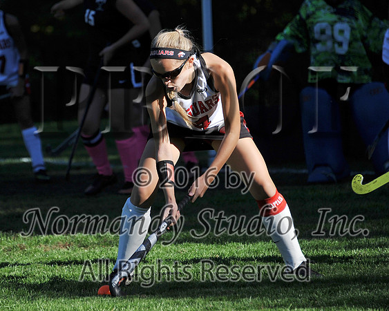 JAC_46_fhsd