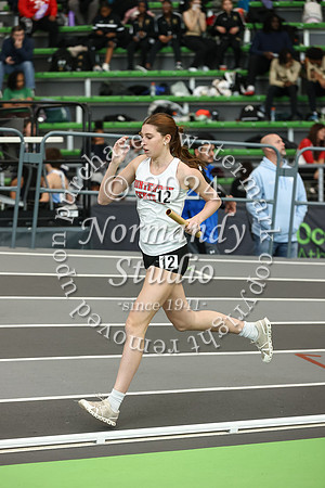 HCH_tr-g_41