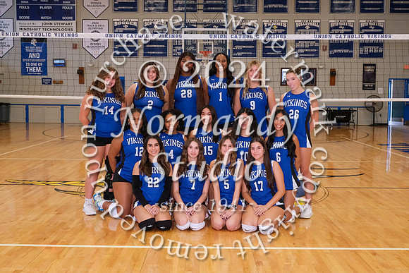 UCH_vb-v-t_03