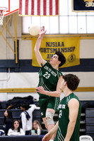 CNH_vb-b_04