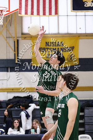 CNH_vb-b_04