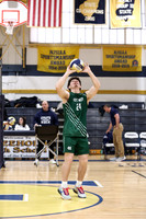 CNH_vb-b_02