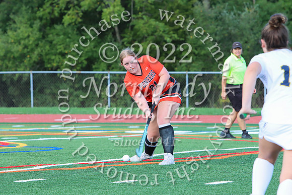 SVL_fh_03