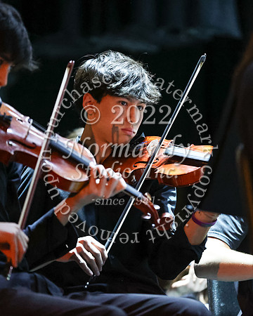 WHS_orchestra_37