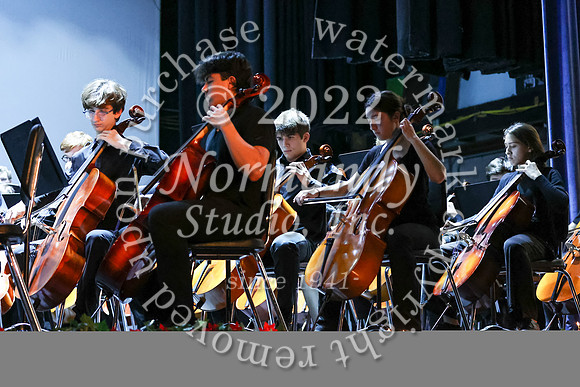 WHS_orchestra_46