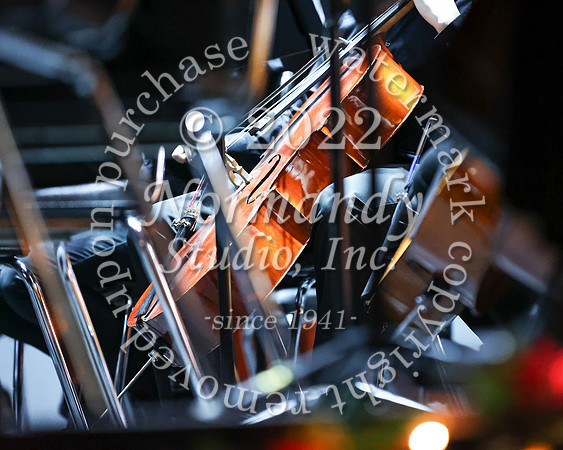 WHS_orchestra_26