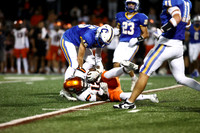 SVL_fb_06