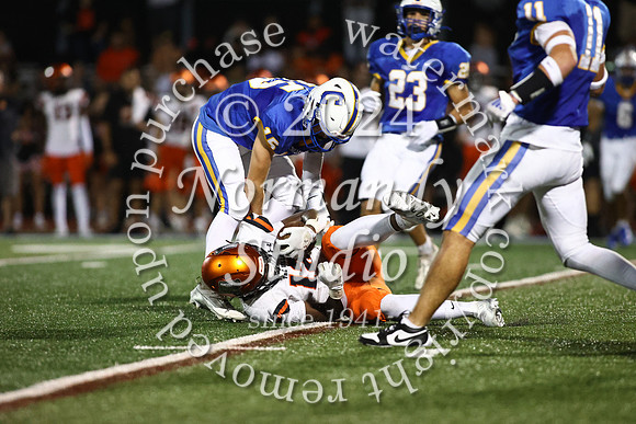 SVL_fb_06