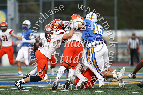 SVL_fb_66