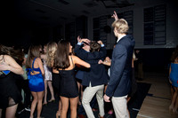 WHS_hc_008