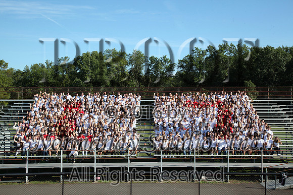 MNP_09_srg