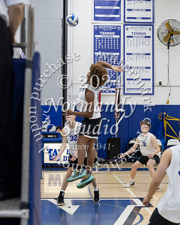 WHS_vb-b-j_38