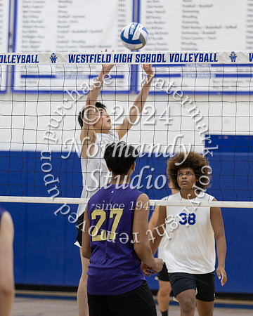 WHS_vb-b-j_50