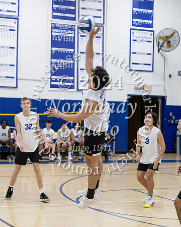 WHS_vb-b-j_80