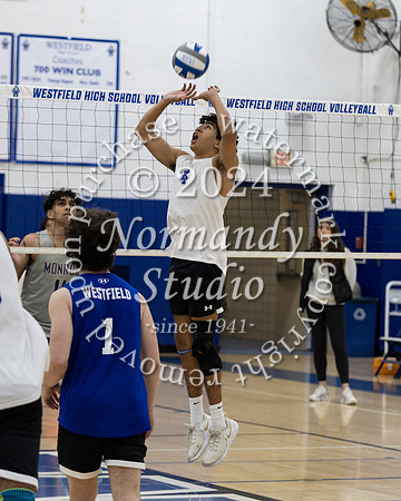WHS_vb-b-v_06