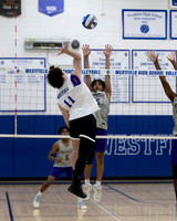 WHS_vb-b-v_07