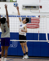 WHS_vb-b-v_04