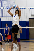 WHS_vb-b-v_05
