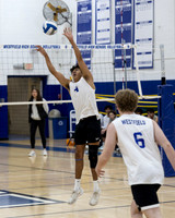 WHS_vb-b-v_10