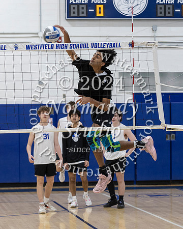 WHS_vb-b-v_28