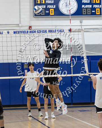 WHS_vb-b-v_30