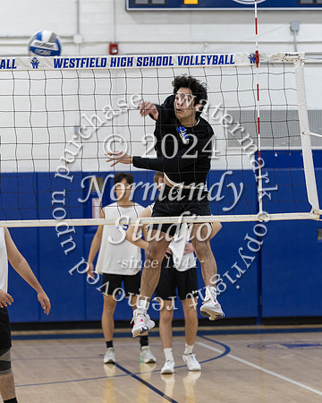 WHS_vb-b-v_31