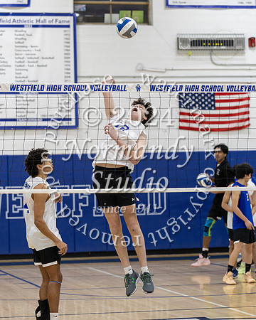 WHS_vb-b-v_33