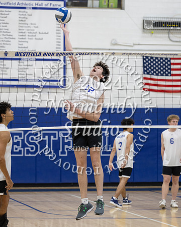WHS_vb-b-v_37