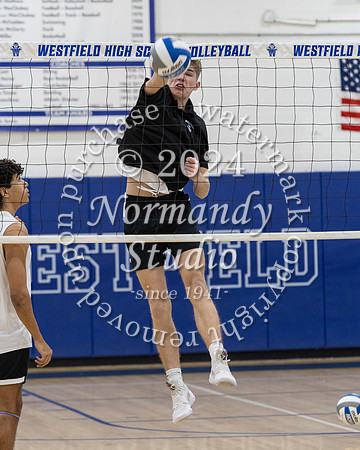 WHS_vb-b-v_39