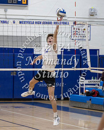 WHS_vb-b-v_41