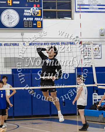 WHS_vb-b-v_45