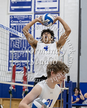 WHS_vb-b-v_50