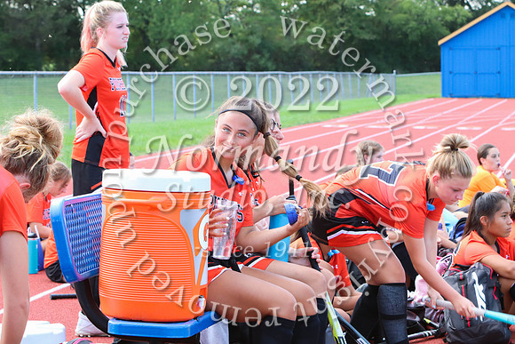 SVL_fh_39